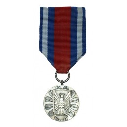 Medal "Za Zasługi w...