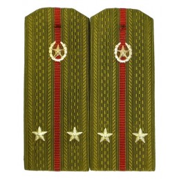 Epaulettes for shirt of the lieutenant of Internal Forces