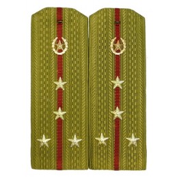 Epaulettes for shirt of the captain of Internal Forces