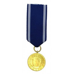 Medal "For the participation in Defensive War 1939"