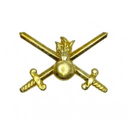 "Ground Forces" branch insignia, gold