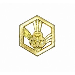 "Chemical Troops" branch insignia, gold