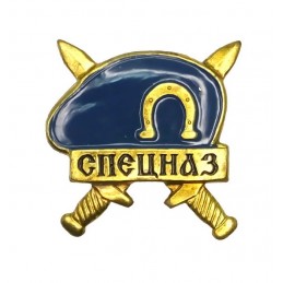 Badge to beret of...