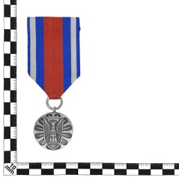 Medal for "Merit in Defending Public Order", silver