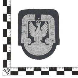 Eagle (modern), Air Forces, grey background, embroidered