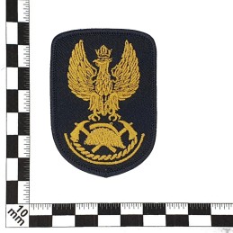 Eagle (modern) National Fire Service, black background, embroidered