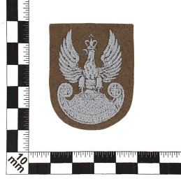 Eagle of Territorial Defence Forces (VOT), sand background, embroidered