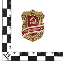 Badge "Druzhinnik"