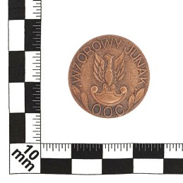 Badge "Exemplary Junak OOC", brown