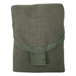FRP Pouch for 2 SVD rifle magazines, Olive