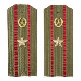 Epaulettes for shirt of the major of Motorized Infantry