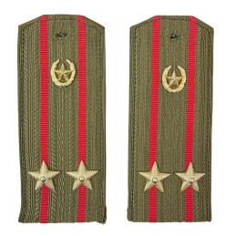 Epaulettes for shirt of the junior colonel of Motorized Infantry