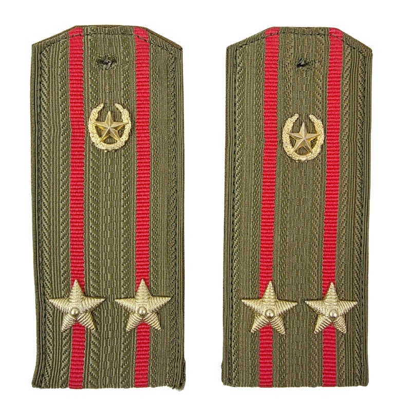 Epaulettes for shirt of the junior colonel of Motorized Infantry