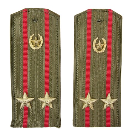 Epaulettes for shirt of the junior colonel of Motorized Infantry