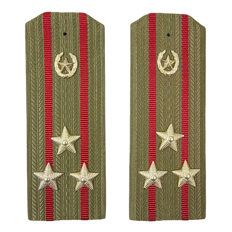 Epaulettes for shirt of the colonel of Motorized Infantry