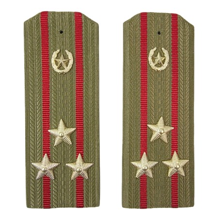 Epaulettes for shirt of the colonel of Motorized Infantry