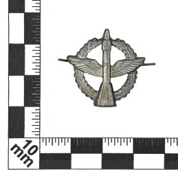 "Space Forces" branch insignia, modern, field