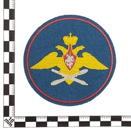 Naszywka "Wojska Lotnicze" - rodzaj wojsk