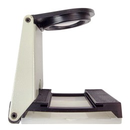 Magnifying display stand, slide viewer