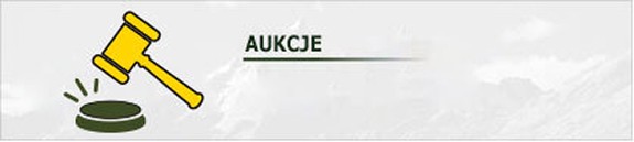 Aukcje