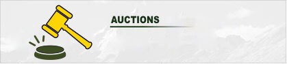 Auctions
